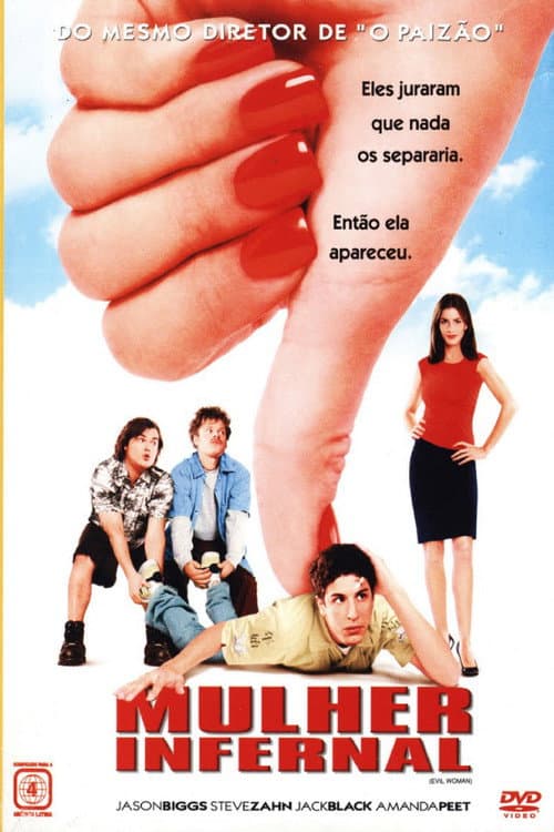 Póster de Tres idiotas y una bruja