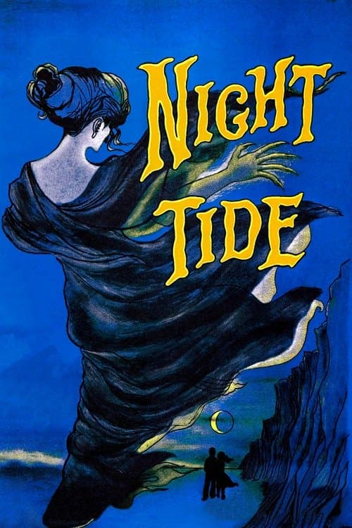 Affiche de Marée nocturne