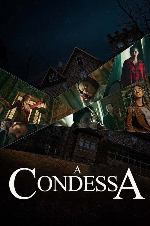 Póster de A Condessa