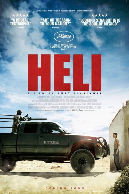 Póster de Heli
