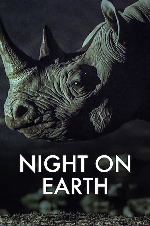 Póster de La Tierra de noche