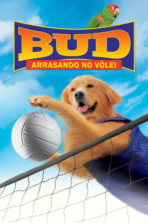 Affiche de Air Bud 5 - Superstar
