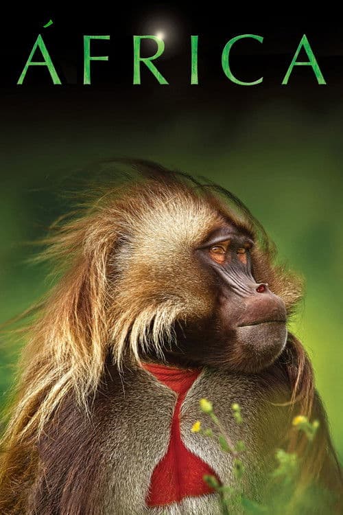 Affiche de Afrique sauvage