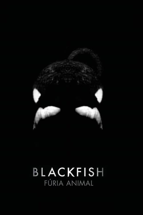 Póster de Blackfish: Fúria Animal