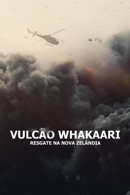 Poster for The Volcano: Rescue from Whakaari