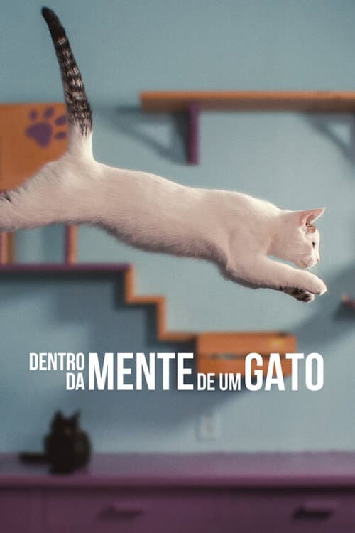 Poster for Inside the Mind of a Cat