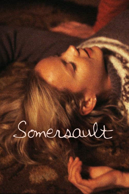 Affiche de Le Saut périlleux