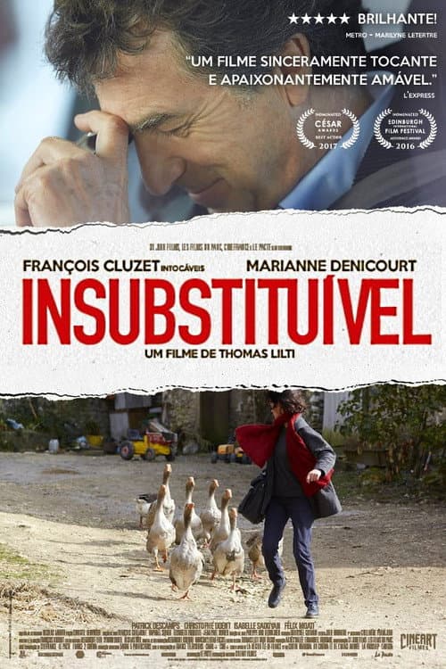 Poster for Insubstituível