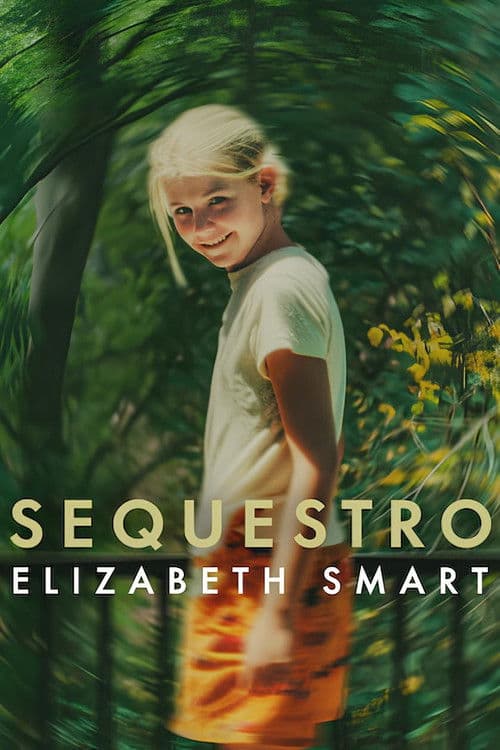 Affiche de Enlèvement : Elizabeth Smart