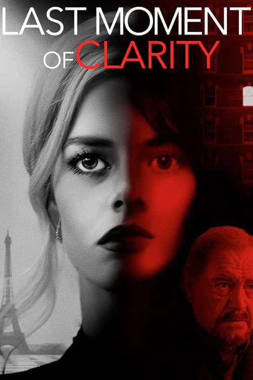 Poster for Last Moment of Clarity