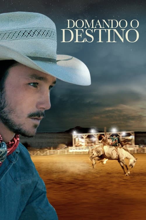 Poster for The Rider