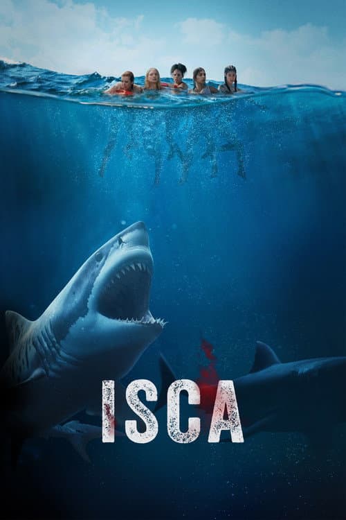 Poster for Something in the Water