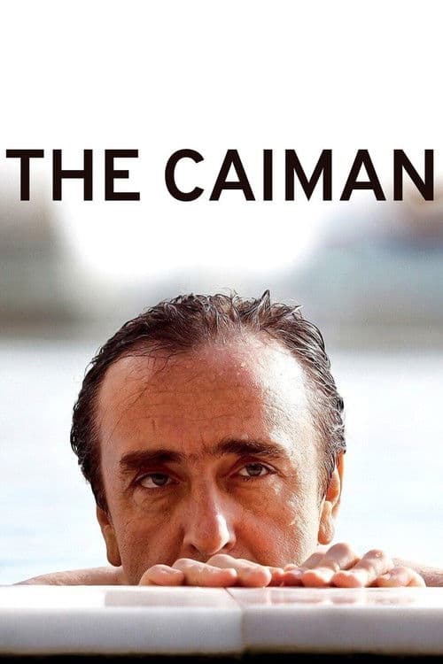 Affiche de Il caimano