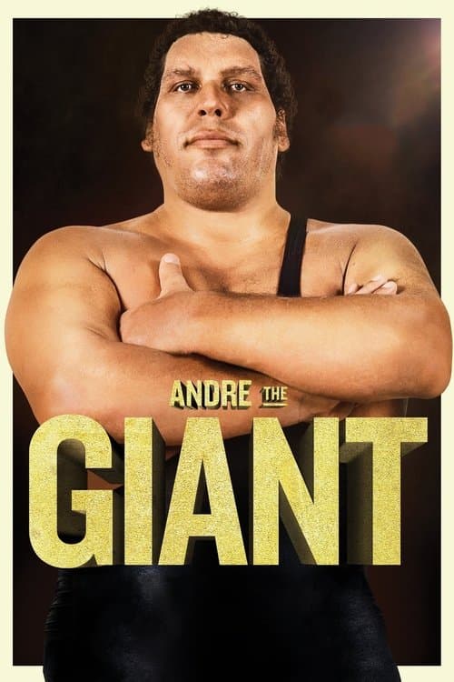 Affiche de André le géant : Le destin du géant ferré