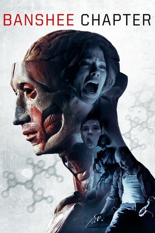 Affiche de Banshee Chapter