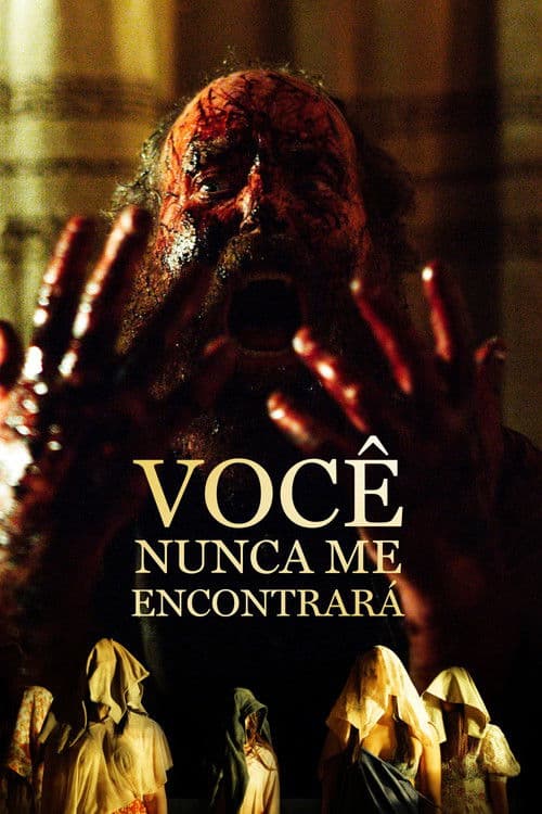 Affiche de Você Nunca Me Encontrará
