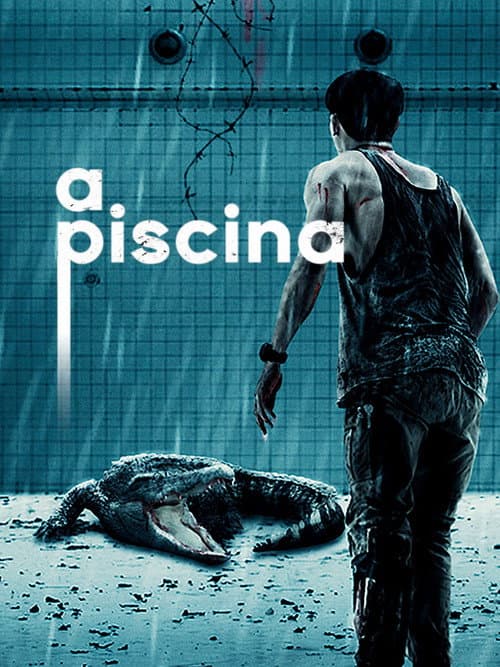 Pôster de A Piscina
