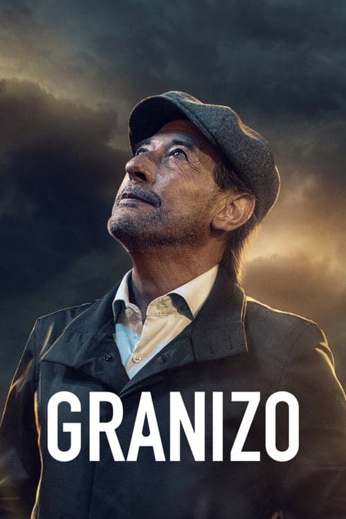 Affiche de L'Effet grêlon