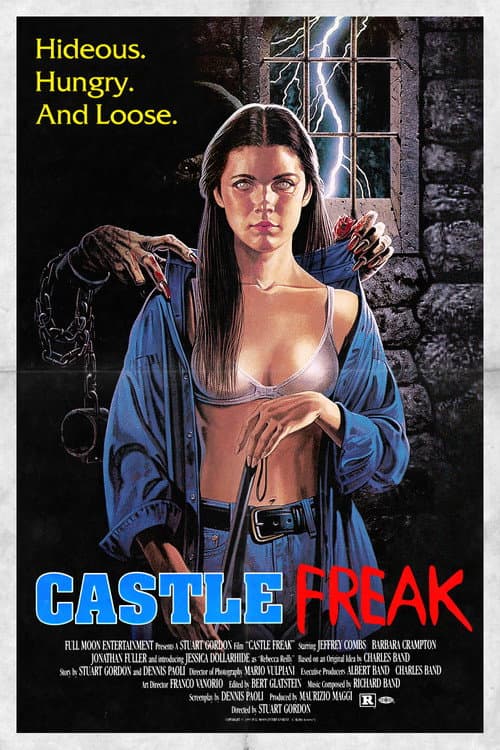 Póster de Un castillo alucinante