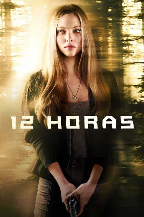 Póster de Sin rastro