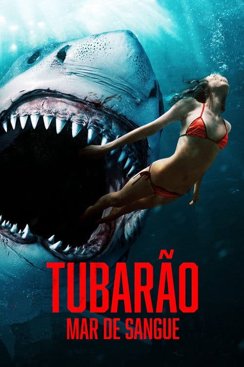 Affiche de Shark Bay