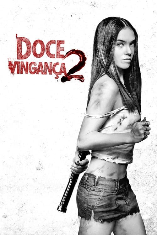 Pôster de Doce Vingança 2