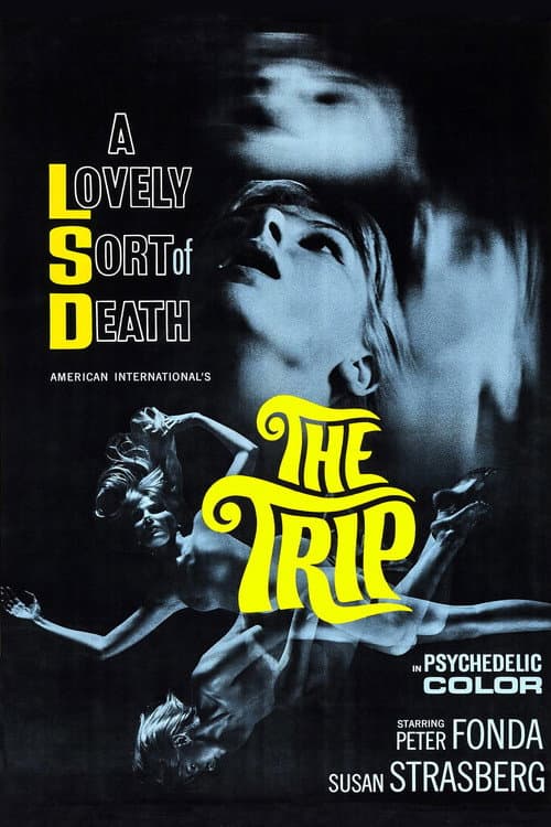 Affiche de Trip (Le Voyage)