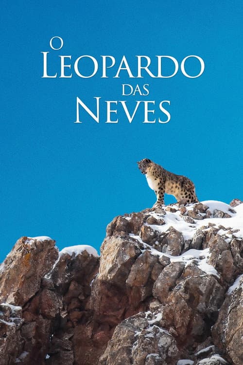 Affiche de O Leopardo das Neves