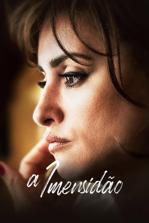 Affiche de A Imensidão