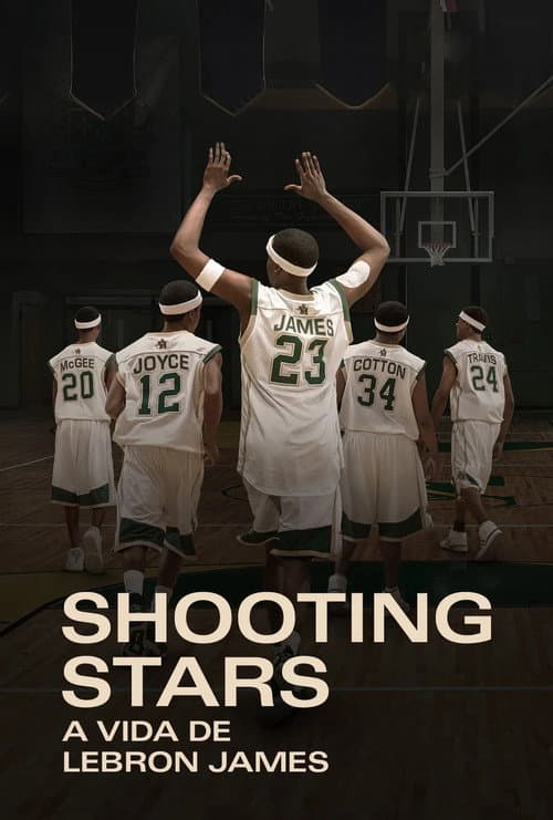Póster de Estrellas Fugaces