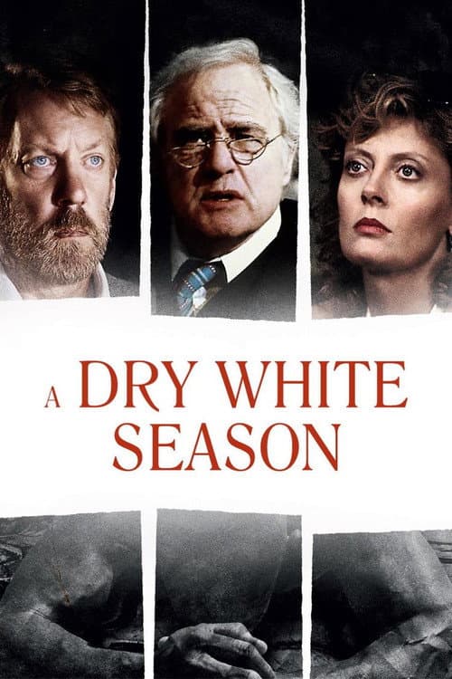 Affiche de Une saison blanche et sèche