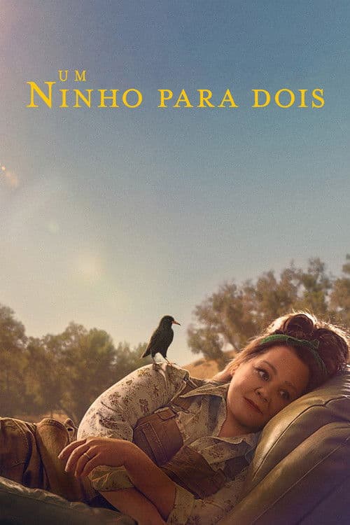 Affiche de Lilly et l'Oiseau