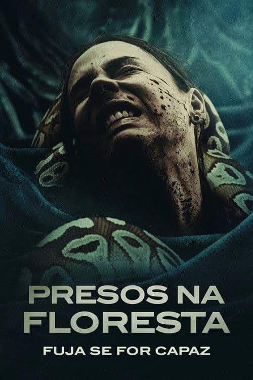 Affiche de Quicksand