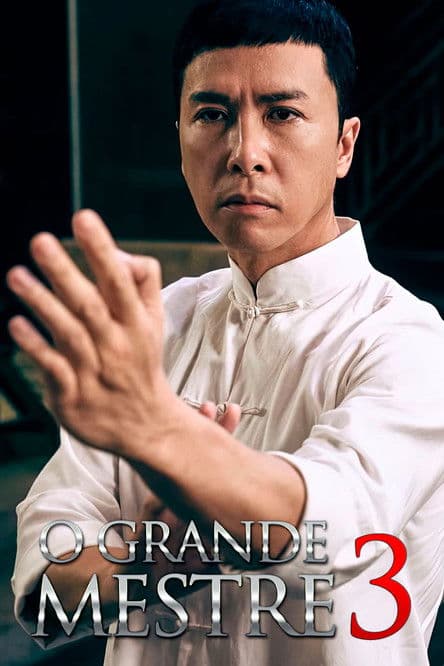 Póster de Ip Man 3