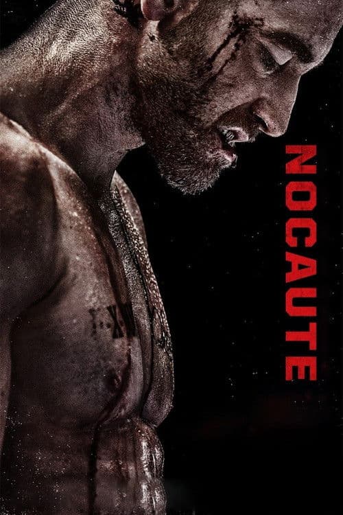 Póster de Nocaute