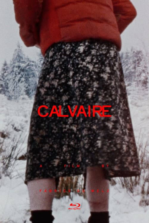 Affiche de Calvaire