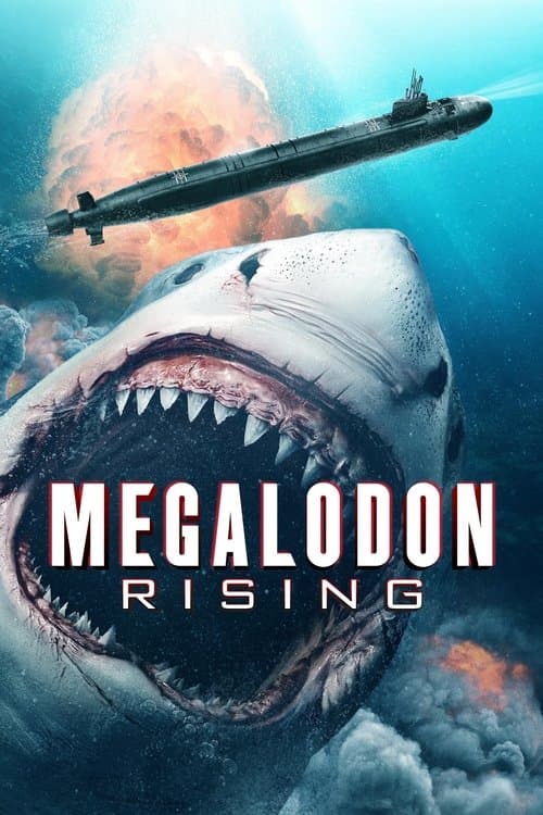 Affiche de Meg Rising