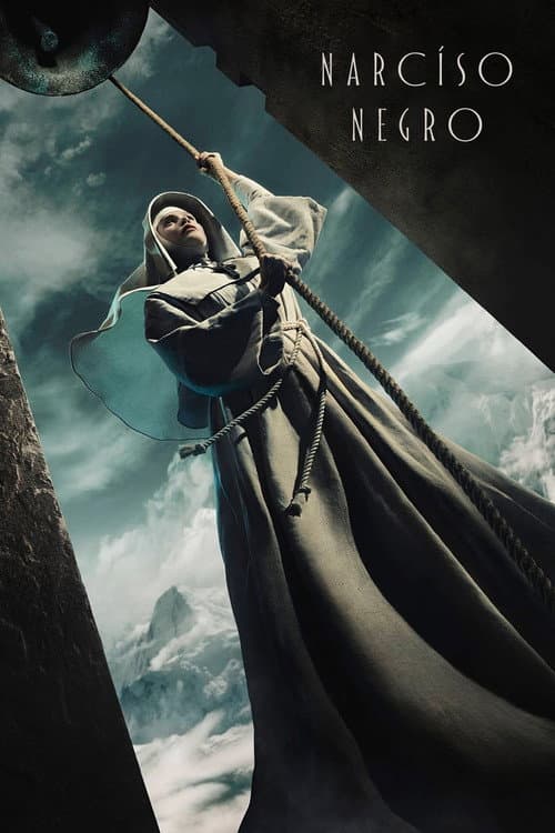 Affiche de Le Narcisse noir