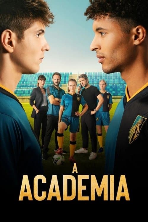 Póster de La academia