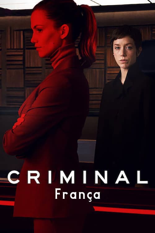 Affiche de Criminal: France