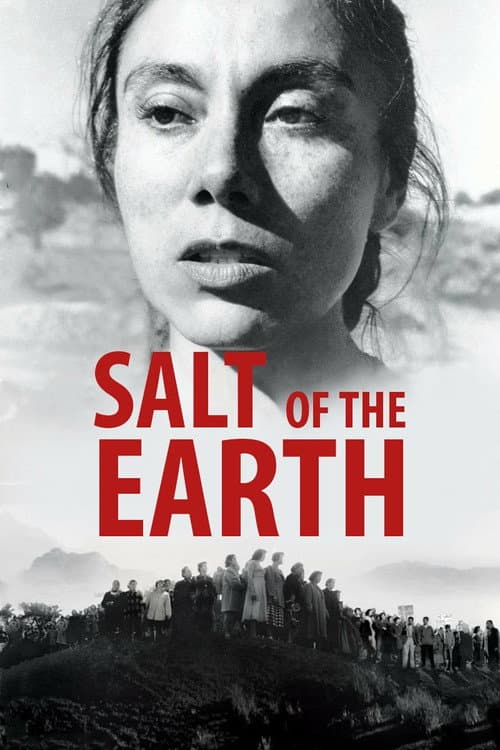 Poster for Salt of the Earth