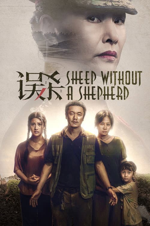 Póster de 误杀