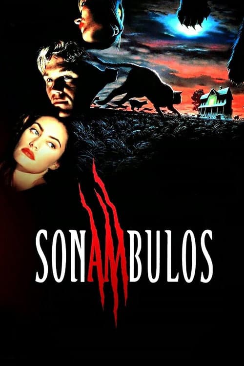 Affiche de La Nuit déchirée