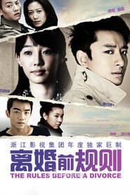 Pôster de 离婚前规则