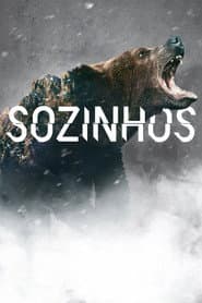 Póster de Sozinhos