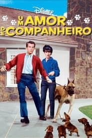 Poster for Um Amor de Companheiro