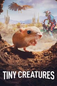 Póster de Natureza Discreta