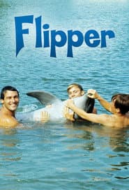 Pôster de Flipper
