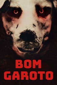 Poster for Bom Garoto