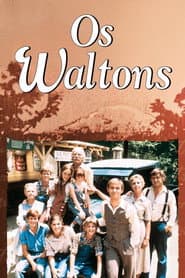 Póster de Os Waltons